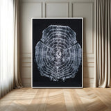 67859667-MGV-FC-24X36_White-Tree Ring Wall Art Wall Art Canvas Print, Framed Wood Slice Canvas Art Picture Print, Monochrome Nature Decor Perfect Modern