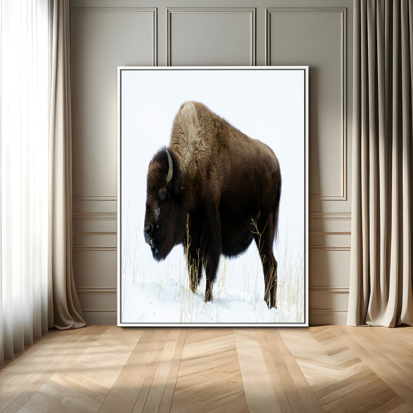 76778120-MGV-FC-24X36_White-Bison Photography Wall Art Canvas Print, Framed Western Wildlife Art Picture Print, Buffalo On Snow Perfect Western Rustic Decor