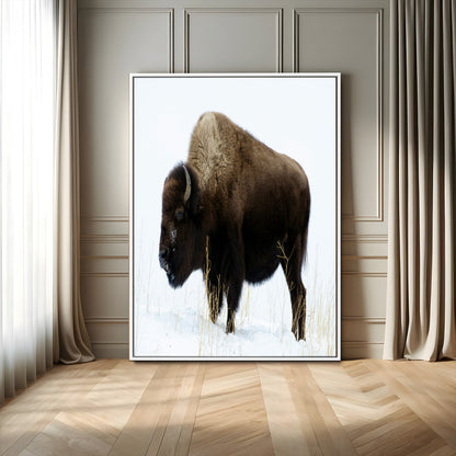 76778120-MGV-FC-24X36_White-Bison Photography Wall Art Canvas Print, Framed Western Wildlife Art Picture Print, Buffalo On Snow Perfect Western Rustic Decor