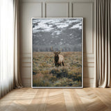 80105083-MGV-FC-24X36_White-Wild Elk Wall Art Canvas Print, Framed Mountain Wilderness Art Picture Print, Majestic Animal Perfect Rustic Lodge Decor Artwork