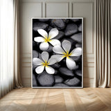 45657-MGV-FC-24X36_White-Large Wall Art White Flowers on Black Zen Meditation Stones Vertical Canvas Print