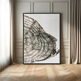 57798204-MGV-FC-24X36_Black-Botanical Tree Ring Wall Art Canvas Print, Framed Earth Tones Art Picture Print, Tree Ring Canvas Perfect Scandinavian Minimalist
