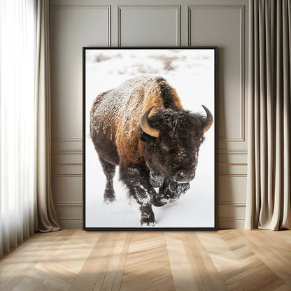 19448944-MGV-FC-24X36_Black-Winter Wilderness Wall Art Canvas Print, Framed Brown Tones Art Picture Print, Nature Close-Up Perfect Rustic Lodge Decor Decor