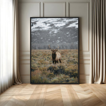 80105083-MGV-FC-24X36_Black-Wild Elk Wall Art Canvas Print, Framed Mountain Wilderness Art Picture Print, Majestic Animal Perfect Rustic Lodge Decor Artwork