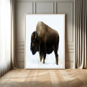 76778120-MGV-FC-24X36_Natural-Bison Photography Wall Art Canvas Print, Framed Western Wildlife Art Picture Print, Buffalo On Snow Perfect Western Rustic Decor