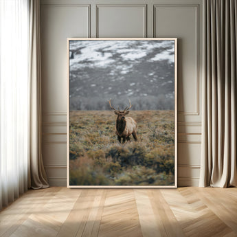 80105083-MGV-FC-24X36_Natural-Wild Elk Wall Art Canvas Print, Framed Mountain Wilderness Art Picture Print, Majestic Animal Perfect Rustic Lodge Decor Artwork