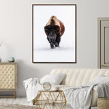 11394883-MGV-CV-24X36-Winter Bison Wall Art Canvas Print, Framed Rustic Wildlife Art Picture Print, Bold Animal Art Perfect Rustic Lodge Decor Artwork