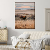 75146693-MGV-CV-24X36-Solitary Buffalo Wall Art Canvas Print, Framed Golden Prairie Art Picture Print, Earthy Tones Perfect Rustic Western Decor Artwork