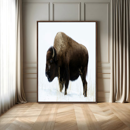 76778120-MGV-FC-24X36_Walnut-Bison Photography Wall Art Canvas Print, Framed Western Wildlife Art Picture Print, Buffalo On Snow Perfect Western Rustic Decor