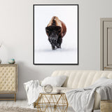 11394883-MGV-CV-24X36-Winter Bison Wall Art Canvas Print, Framed Rustic Wildlife Art Picture Print, Bold Animal Art Perfect Rustic Lodge Decor Artwork