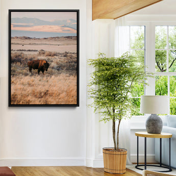 75146693-MGV-FC-24X36-Solitary Buffalo Wall Art Canvas Print, Framed Golden Prairie Art Picture Print, Earthy Tones Perfect Rustic Western Decor Artwork