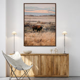 75146693-MGV-FC-24X36-Solitary Buffalo Wall Art Canvas Print, Framed Golden Prairie Art Picture Print, Earthy Tones Perfect Rustic Western Decor Artwork