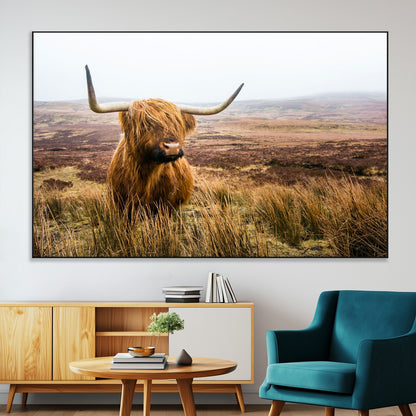 79391-MGV-CV-36X24-Majestic Highland Cow in Misty Scottish Moorland – Rustic Natural Charm, Perfect for Unique Home or Office Decor