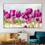 30632-MGV-CV-36X24-Purple Tulip Field Wall Art – Beautiful Spring Flowers Canvas Print with Soft Focus and Bright Sky, Ideal Floral Decor for Home or