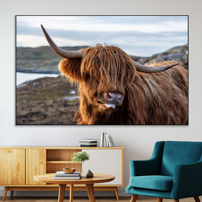 71222-MGV-CV-36X24-A playful Highland cow with shaggy fur sticks out its tongue, set against a rugged landscape — perfect for quirky home or office