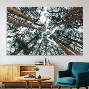 18790-MGV-CV-36X24-Pine Canopy Wall Art – Panoramic View of Towering Pines Canvas Print, Nature-Inspired Decor for Office, Cabin or Living Room