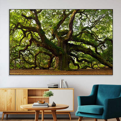 29407-MGV-CV-36X24-Ancient Oak Tree Wall Art – Majestic Nature Canvas Print, Large Tree Photography Decor for Living Room or Office