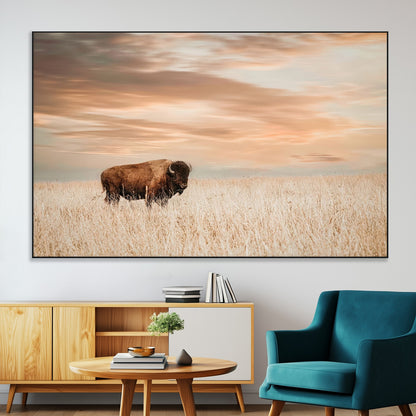 99699-SEG-FC-51X34_Oversize-Bison in Prairie at Sunset – Wildlife Photography Print, American Buffalo Wall Art, Nature Landscape Canvas Decor for Office