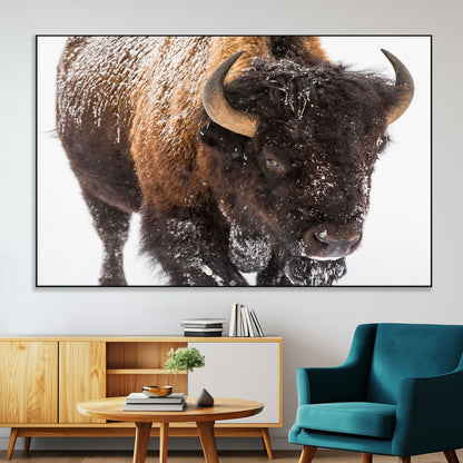 65605-SEG-FC-51X34_Oversize-Snow Bison Wall Art – Close Up Buffalo Canvas Print, Rustic Western Wildlife Photography, Farmhouse Cabin Lodge Decor for Living