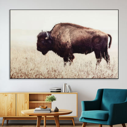 48406-SEG-FC-51X34_Oversize-American Bison Wall Art – Rustic Buffalo Canvas Print in Prairie Field, Western Wildlife Photography Decor for Cabin, Lodge,