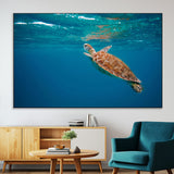 91440-SEG-FC-51X34_Oversize-Sea Turtle Wall Art – Ocean Turtle Canvas Print, Underwater Marine Life Decor for Living Room, Office, Beach House or Bathroom