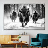 97552-SEG-FC-51X34_Oversize-Black and White Bison Wall Art – Buffalo Herd Running in Snow Canvas Print, Rustic Wildlife Photography Decor for Cabin, Lodge, or