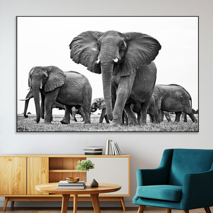91685-MGV-CV-36X24-Elephant Herd Wall Art – Black and White Safari Canvas Print, African Wildlife Photography Decor for Living Room, Office or