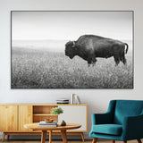 28435251-MGV-CV-36X24-Bison In Prairie Wall Art Canvas Print, Framed Rustic Wildlife Art Picture Print, Wild Buffalo Perfect Rustic Western Decor