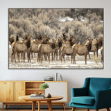 90269422-MGV-CV-36X24-Elk Herd Scene Wall Art Canvas Print, Framed Rustic Wildlife Decor Art Picture Print, Western Cabin Style Perfect Rustic Lodge
