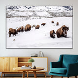 13891210-SEG-FC-51X34_Oversize-Bison Herd Scene Wall Art Canvas Print, Framed Western Wildlife Decor Art Picture Print, Snowy Mountain Valley Perfect Rustic