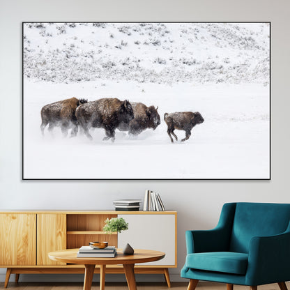 56216945-SEG-FC-51X34_Oversize-Bison Herd Decor Wall Art Canvas Print, Framed Snowy Bison Scene Art Picture Print, Winter Wildlife Theme Perfect Rustic Western