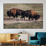 58141885-MGV-CV-36X24-Bison Photography Wall Art Canvas Print, Framed Western Wildlife Art Picture Print, Modern Ranch Perfect Western Rustic Decor