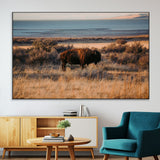 39509187-MGV-CV-36X24-Western Wildlife Wall Art Canvas Print, Framed Bison Art Picture Print, Golden Hour Perfect Western Rustic Decor Artwork