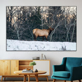 36533178-MGV-CV-36X24-Wild Elk Photography Wall Art Canvas Print, Framed Winter Wildlife Art Picture Print, Snowy Forest Perfect Rustic Lodge Decor