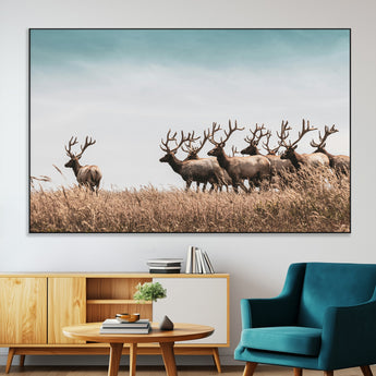 81594705-MGV-CV-36X24-Elk Herd Wall Art Canvas Print, Framed Wildlife Photography Art Picture Print, Rustic Nature Print Perfect Rustic Wildlife Decor