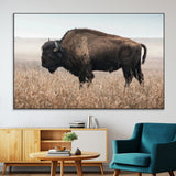 69909079-MGV-CV-36X24-Bison Wall Art – Majestic Buffalo Canvas Print in Prairie Grasslands, Rustic Western Animal Painting, Farmhouse Ranch Decor for
