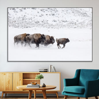 61161423-MGV-CV-36X24-Running Bison Herd Wall Art – Winter Buffalo Canvas Print, Wildlife Photography Decor for Rustic Living Room, Farmhouse, Lodge,