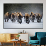 30332489-MGV-CV-36X24-Winter Bison Herd Wall Art – Powerful Buffalo Canvas Print, Rustic Wildlife Photography Decor for Farmhouse, Cabin, Lodge, Living