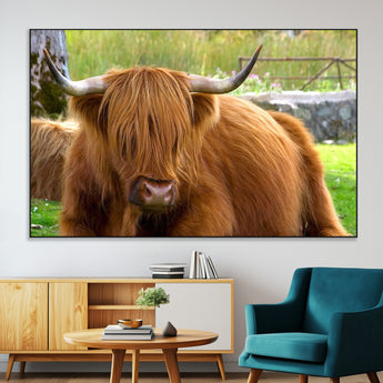 68411138-MGV-CV-36X24-Farmhouse Wall Art – Highland Cow Canvas Print, Rustic Country Cattle Photography Decor for Bedroom, Living Room, Office, Ranch,