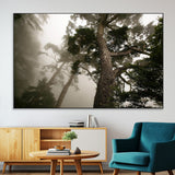 87969493-MGV-CV-36X24-Forest Wall Art – Misty Tall Trees Canvas Print, Dramatic Woodland Photography Decor for Bedroom, Living Room, Office, Cabin,