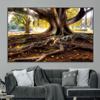 53335-MGV-CV-36X24-Majestic Tree with Sprawling Roots Wall Art – Serene Sunlit Park Scene, Nature Canvas Print, Perfect for Living Room, Office or