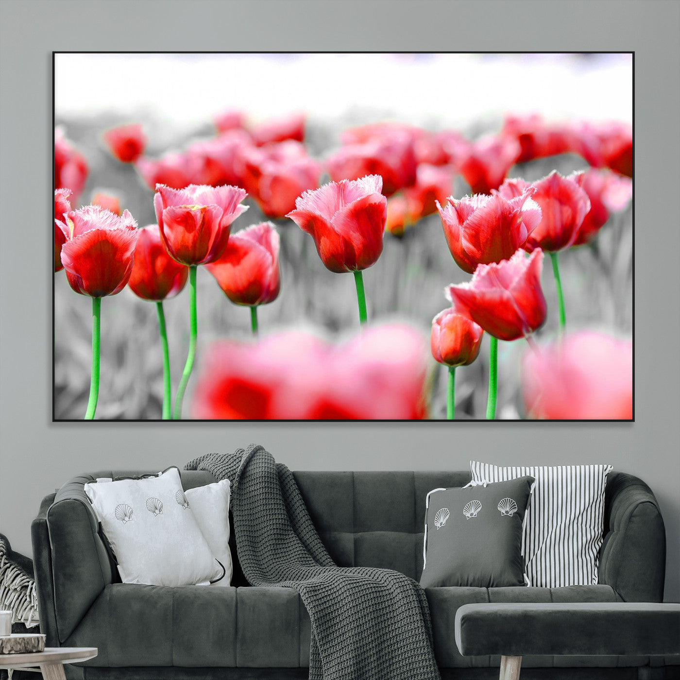 44554-MGV-CV-36X24-Vibrant red tulips stand out beautifully against a black-and-white background, making a striking decor piece perfect for any home
