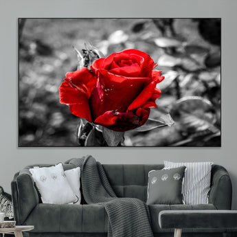 84671-MGV-CV-36X24-Red Rose Wall Art – Vibrant Single Bloom Canvas Print with Black and White Background, Elegant Floral Decor for Living Room,
