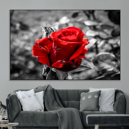 84671-MGV-CV-36X24-Red Rose Wall Art – Vibrant Single Bloom Canvas Print with Black and White Background, Elegant Floral Decor for Living Room,
