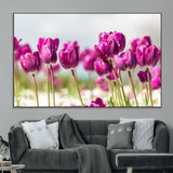 30632-MGV-CV-36X24-Purple Tulip Field Wall Art – Beautiful Spring Flowers Canvas Print with Soft Focus and Bright Sky, Ideal Floral Decor for Home or