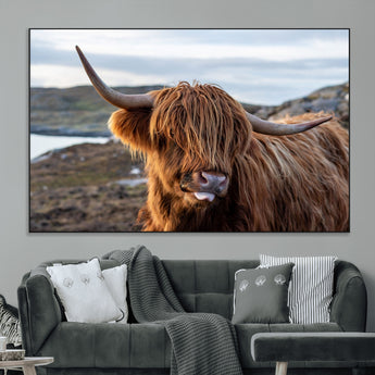 71222-MGV-CV-36X24-A playful Highland cow with shaggy fur sticks out its tongue, set against a rugged landscape — perfect for quirky home or office