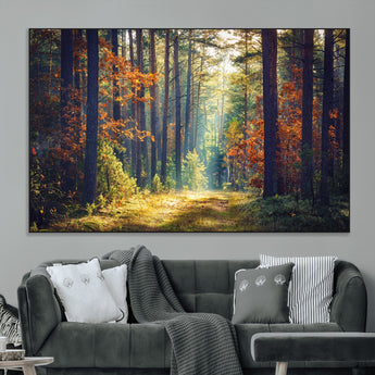 86249-MGV-CV-36X24-Sunlit Autumn Forest Path Wall Art – Peaceful Nature Scene with Fall Foliage, Calming Woods Decor for Home or Office