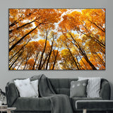 11823-MGV-CV-36X24-Golden Autumn Tree Canopy Wall Art – Stunning Fall Forest Leaves Print, Warm Seasonal Nature Decor for Home, Office or Cabin
