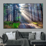 42047-MGV-CV-36X24-Sunlit Forest Path Wall Art – Nature Canvas Print, Serene Woodland Landscape, Perfect Home & Office Decor for Calm and Tranquil