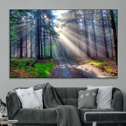 42047-MGV-CV-36X24-Sunlit Forest Path Wall Art – Nature Canvas Print, Serene Woodland Landscape, Perfect Home & Office Decor for Calm and Tranquil